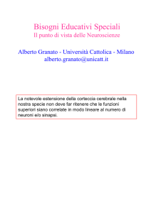 Bisogni Educativi Speciali