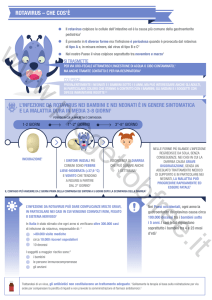 rotavirus - Progetto BFree