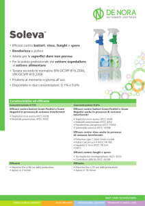 Soleva - De Nora