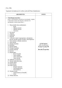 Leggi l`allegato  - "LB Alberti"