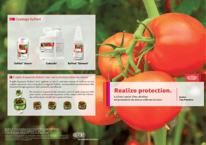 Realize protection.