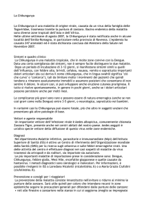 La Chikungunya La Chikungunya è una malattia di origine virale