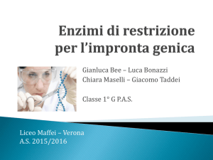 Enzimi di restrizione per l`impronta genica