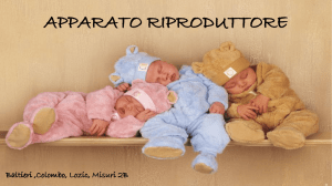 Scarica - liceo maffei