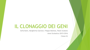 Scarica - liceo maffei