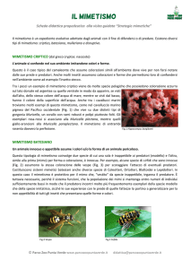 Scheda didattica per gli insegnanti