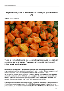 Peperoncino, chili o habanero: la storia più piccante