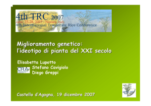 Miglioramento genetico: l`ideotipo di pianta del