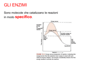 Enzimi nella diagnostica