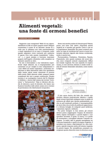 Alimenti vegetali: una fonte di ormoni benefici