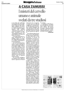 I misteri del cervello umano e animale svelati da tre studiosi