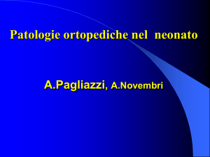 (vedi file pdf).