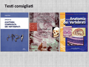 TesV consigliaV - Macroarea di Scienze
