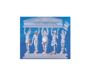 8. infiammazione seconda lezione File - e