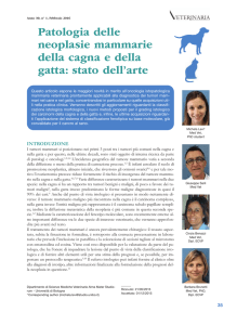 Patologia delle neoplasie mammarie della cagna e