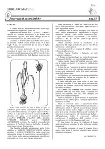 macaone_14_26 - Circolo Naturalistico Novese