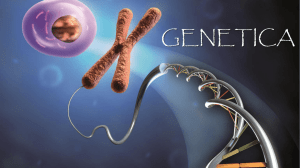 Genetica - Suore Salesiane dei Sacri Cuori