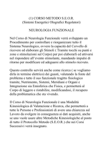 (1) CORSO METODO S.E.O.R. (Sistemi Energetici Olografici