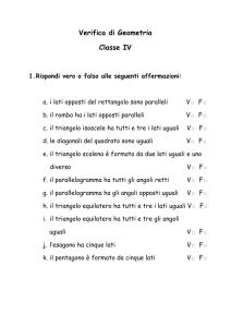Verifica Geometria