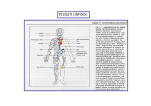 Anatomia comparata