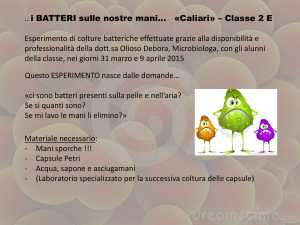 I nostri BATTERI