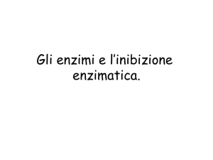 enzimi e inibizione - e