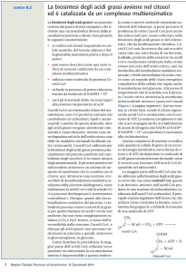 La biosintesi degli acidi grassi avviene nel citosol ed è catalizzata