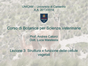 Corso di Botanica per Scienze Veterinarie