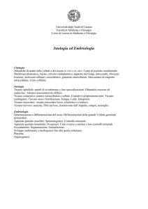 Istologia ed Embriologia