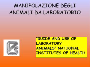 MANIPOLAZIONE DEGLI ANIMALI DA LABORATORIO