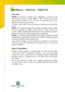 MORBILLO - ROSOLIA