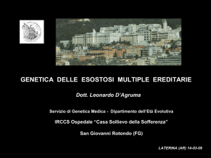 intervento del genista dott. Leonardo D`Agruma