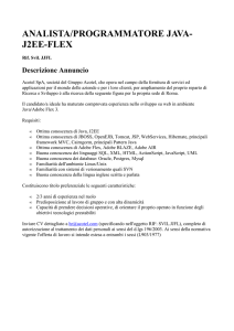 Analiasta/Programmatore Java - J2EE - Flex