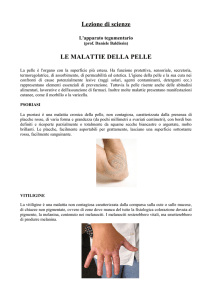 Lezione di scienze LE MALATTIE DELLA PELLE