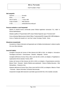 Mirco Ferrando - Curriculum vitae