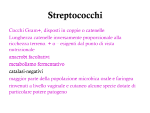 Diapositiva 1 - Sezione di Microbiologia