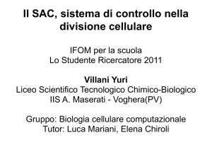 Poster Juri Villani