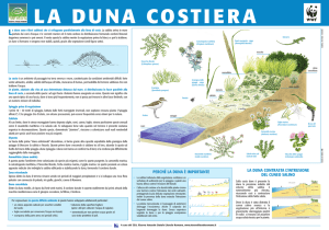 Scarica il pannello in formato pdf