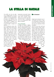 LA STELLA DI NATALE