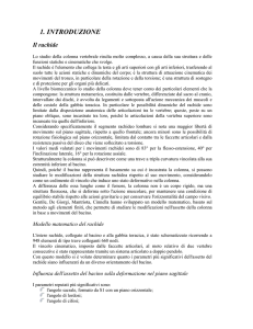 1. INTRODUZIONE Il rachide