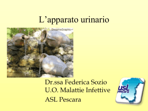 Presentazione di PowerPoint