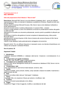 Programma_ SQL Server - Consorzio Sistema Bibliotecario Nord