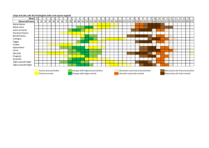 Colpo d`occhio sulle fasi fenologiche delle varie specie vegetali