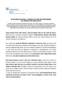 in vacanza con fido: i consigli di aisa per proteggere gli animali dal