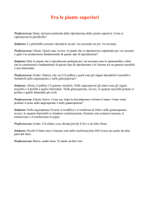 Visualizza il testo audio