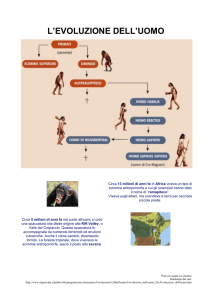 Evoluzione Umana: Dalle Scimmie all'Homo Sapiens Sapiens