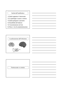 1 Terapia antibiotica