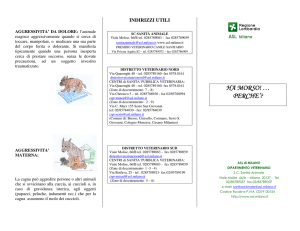 ha morso! … perche`?