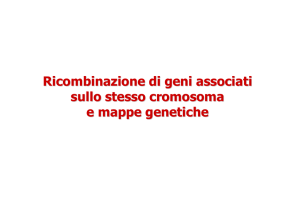 Ricombinazione di geni associati sullo stesso cromosoma e mappe