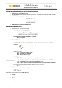 Scheda di sicurezza